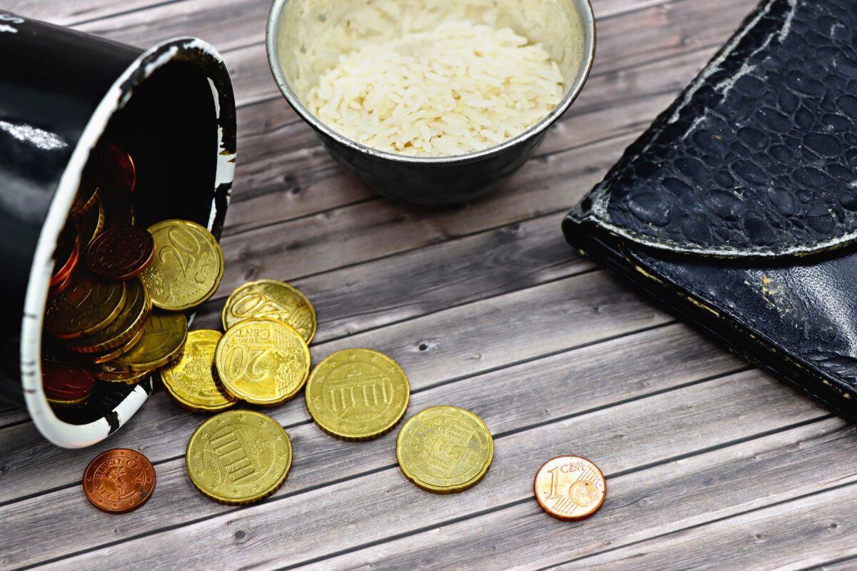 pièces euros rares profils collectionnent
