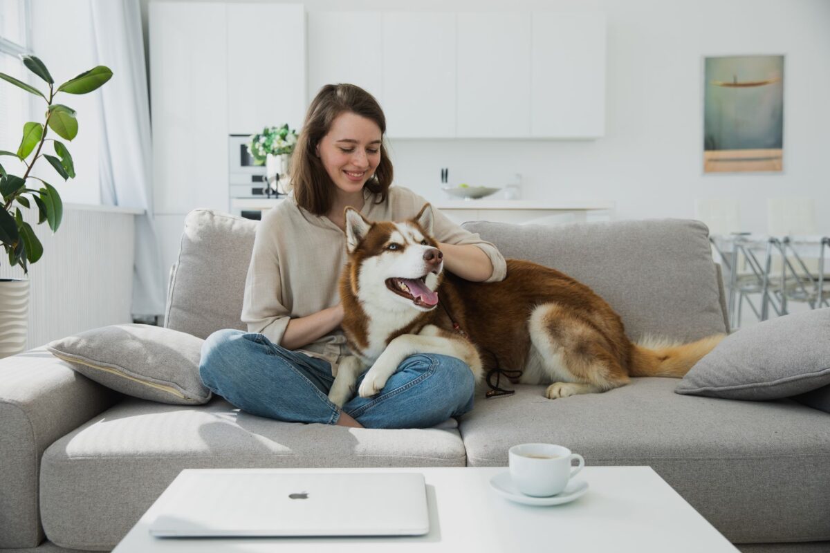 garder animaux domestiques cas usage profil